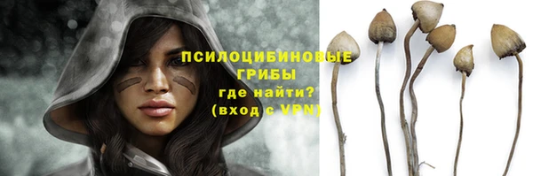 дурь Нефтегорск