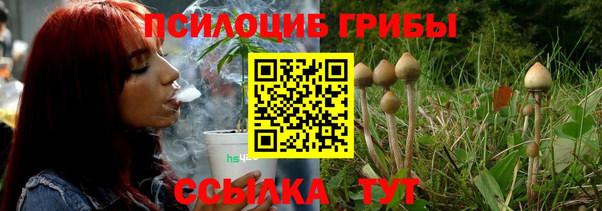 Псилоцибиновые грибы Cubensis  Вход с VPN  Красногорск 