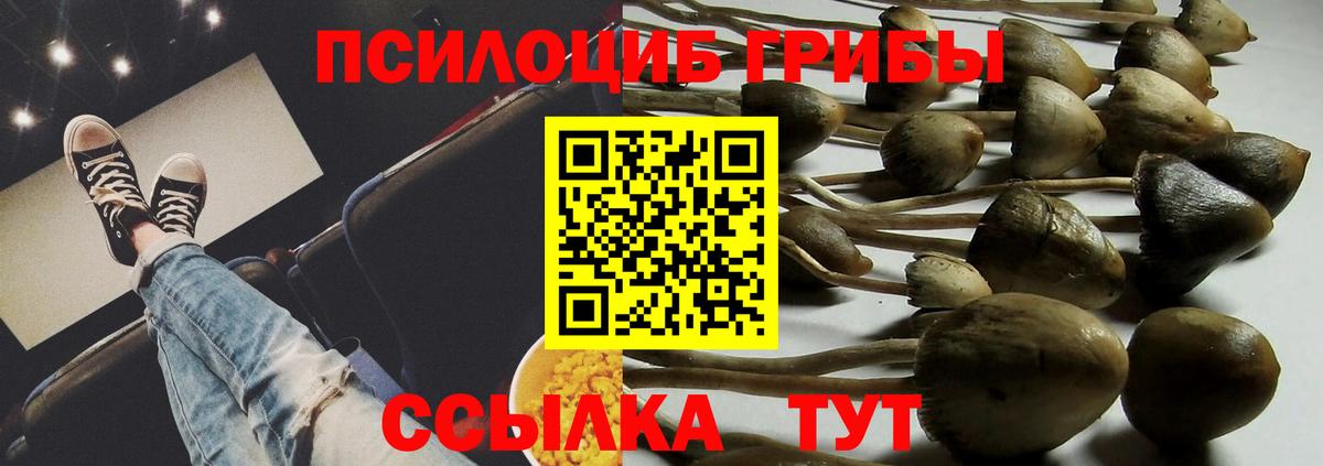 Галлюциногенные грибы Cubensis Красногорск