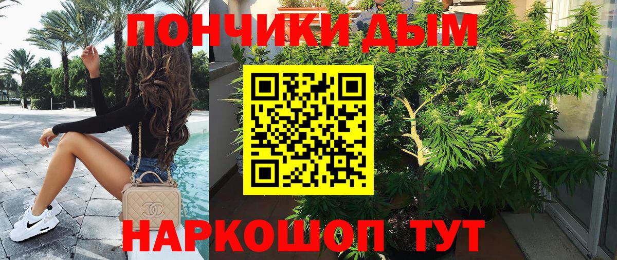 Каннабис план Красногорск